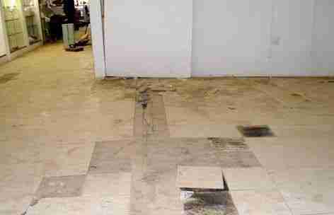 shopping center mold remediation