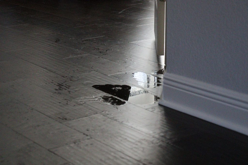 Small-Amount-of-Water-on-Hardwood-Floor