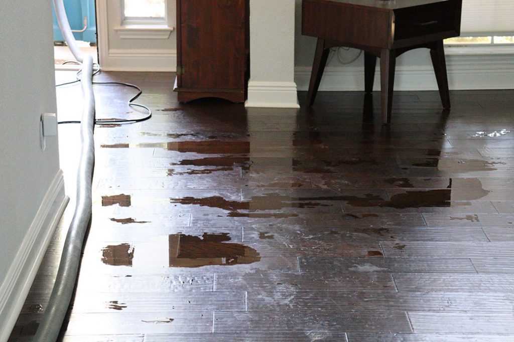 Water-on-Hardwood-Floor-With-a-Hose-Running-Across-It