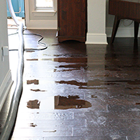 Water on hardwood floor with a hose running across it