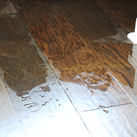 Water on Hardwood Floor