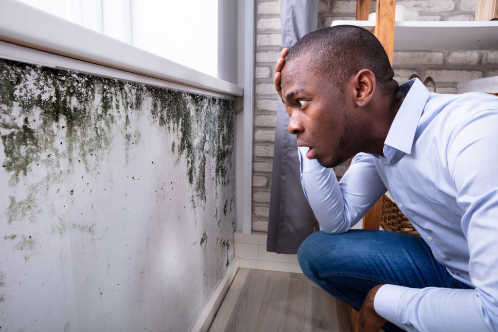 All Nation Restoration Man Looking At Mold In Round Rock