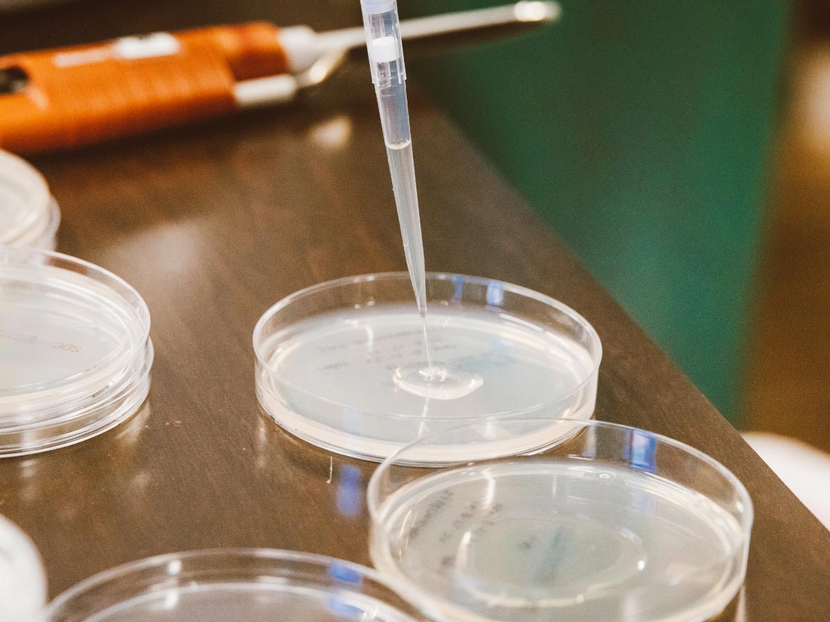 Unveiling the Truth The Reliability of Home Mold Testing Kits and How