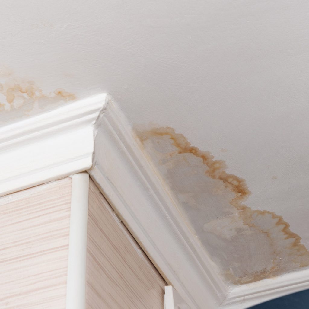 mold on ceiling do to water damage