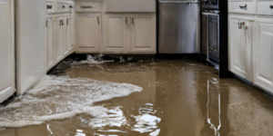 kitchen flood coming from dishwasher in home in Austin