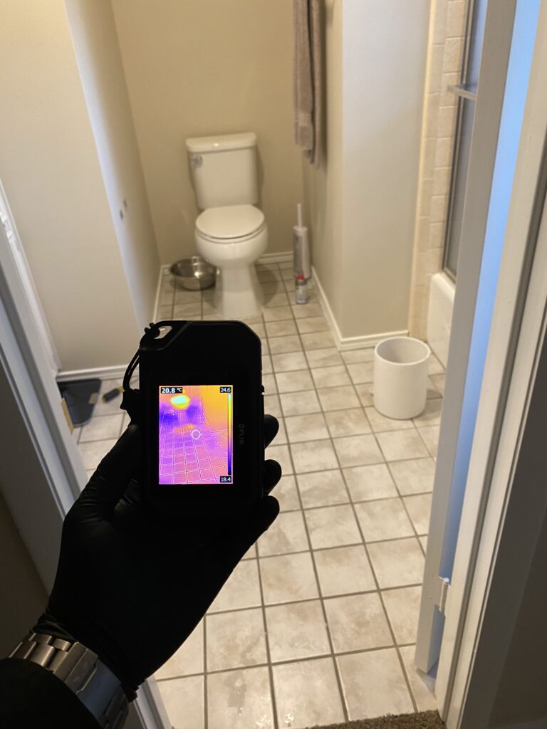 bathroom mold inspection