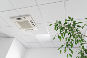 Plants Improve Air Conditions