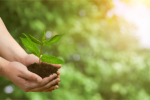 Eco-Friendly Tips for Mold-Free Living