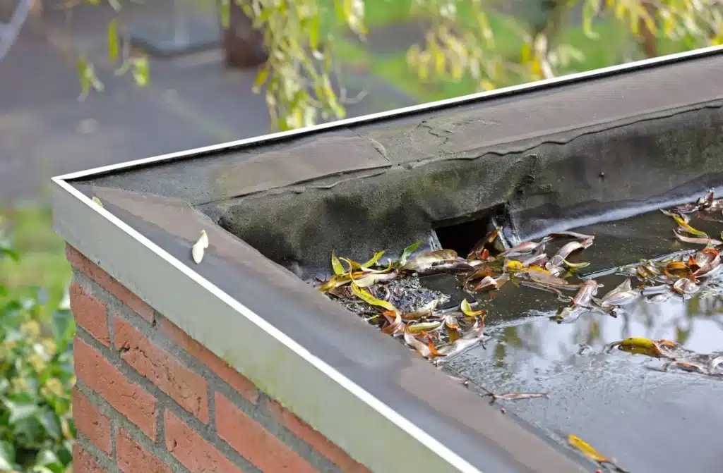 drain on flat roof