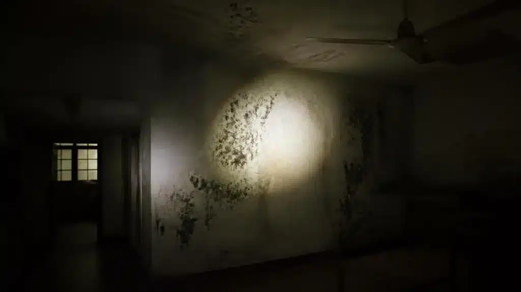 Blackout Fungal Bloom Survival Guide